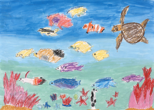 だいすきなうみのいきもの