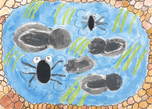 たんぼのいきもの