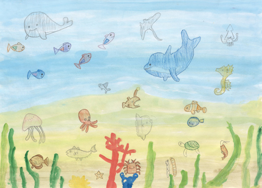 きれいな海の生き物