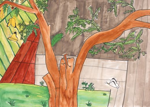 家のおにわの自然