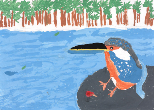 カワセミの見つめるしぜん