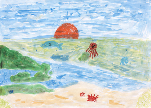 きれいな海のようす