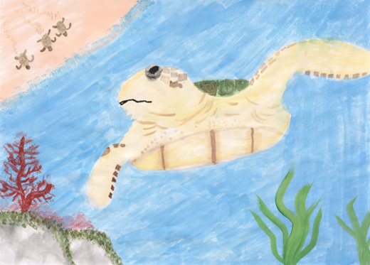 子どもをみまもるウミガメ