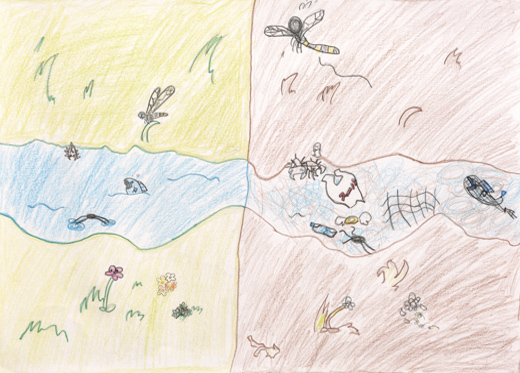 水をきれいにしよう。