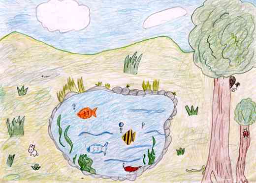 ゆたかなしぜん