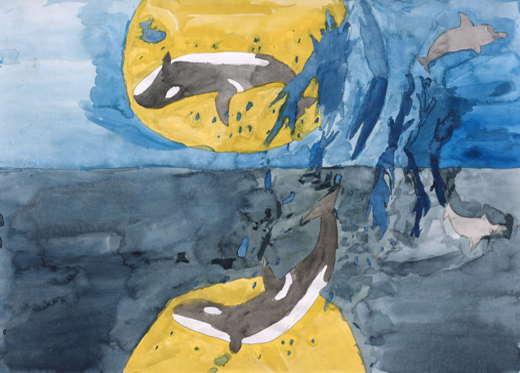 THE　KILLER　WHALE