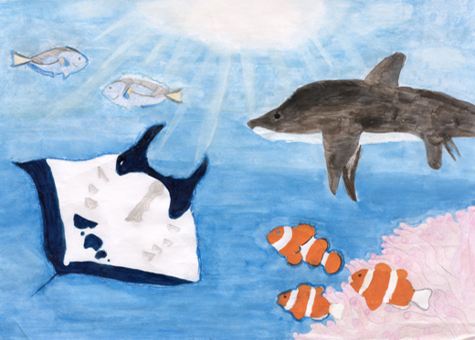 きれいな海ですごす生き物