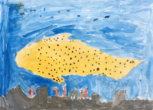 トラフザメのナワバリ