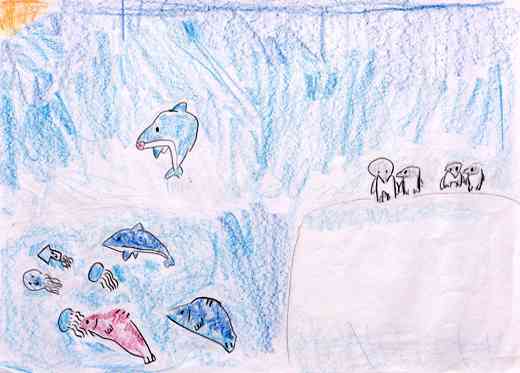 海の生き物大しゅうごう!!