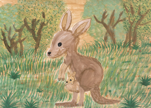 野生のカンガルー