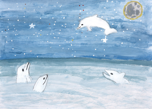 夜空に光るイルカ