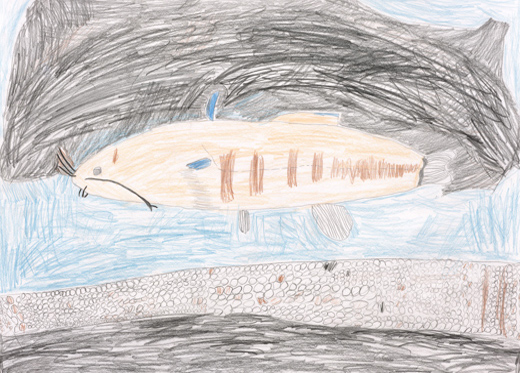 ネコギギさん、元気ですか？