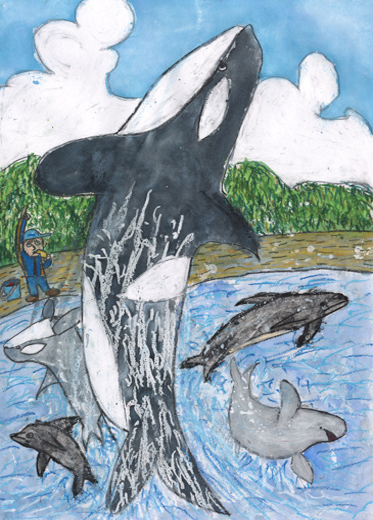 元気に泳ぐシャチやイルカ