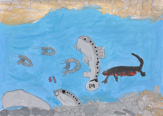 いっしょにくらす生きものたち