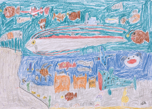 たくさんの海の生き物