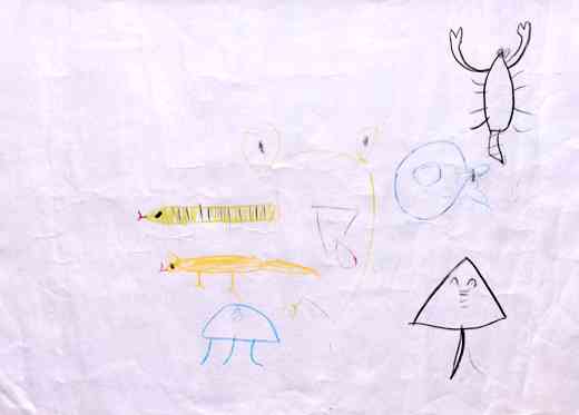 生き物生き生き！