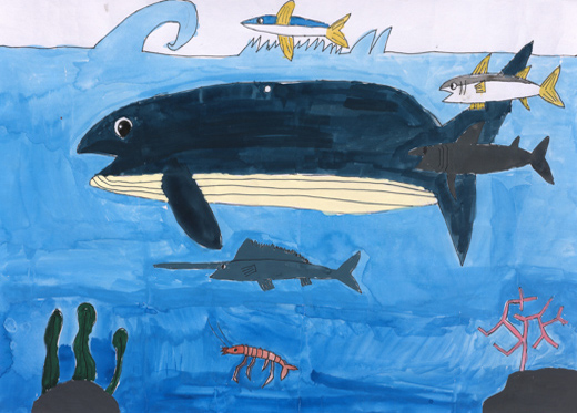 自由な海の生き物