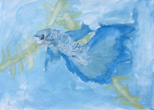 青い魚と青い水