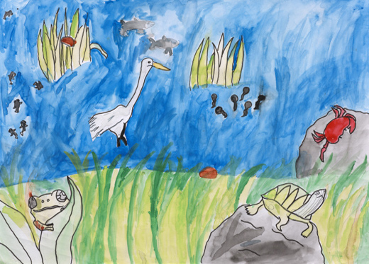 自然がたくさん