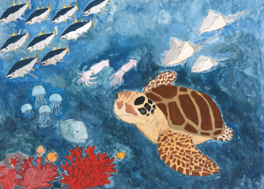 ウミガメ達のスプラッシュサマー