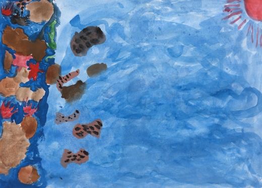 海のいきものつかまえた