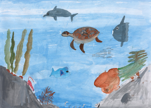 海にすむ生きものたち。