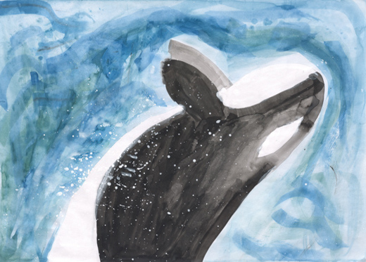 シャチの大ジャンプ