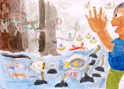 ハロー魚・動物たち!