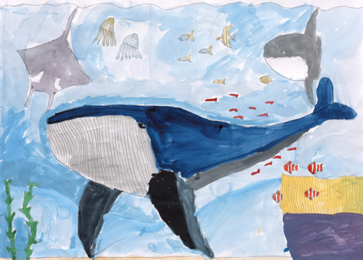 クジラの海