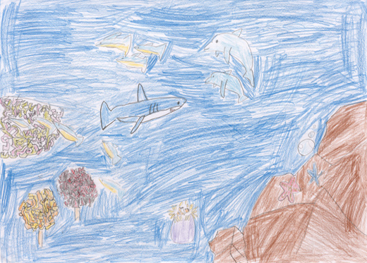 きれいな海とサンゴしょう