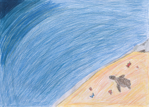 きれいな海とウミガメ