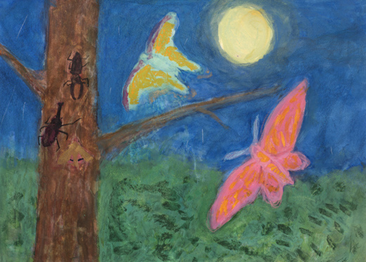 自然あふれる夜空