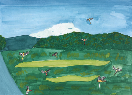 田舎の美しい風景