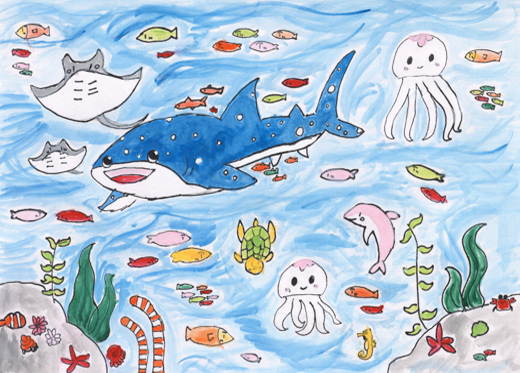 海の生きものを守りたい!!