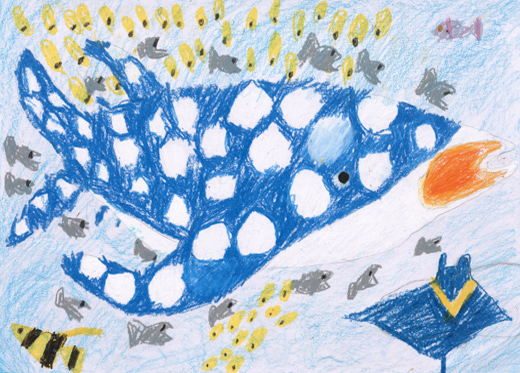 ジンベイザメにあいたい