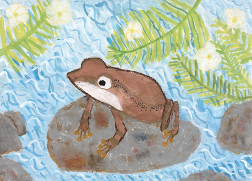 キレイな水とカジカ蛙