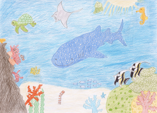 きれいなサンゴいつまでも