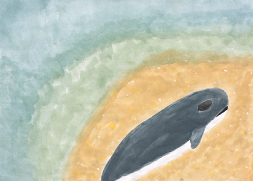 打ち上げられた座礁クジラ