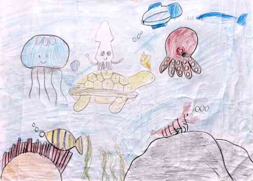 水中の生きもの