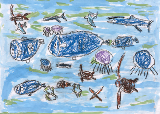 いろいろな魚。