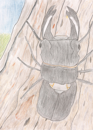 絶めつき惧種を守りたい