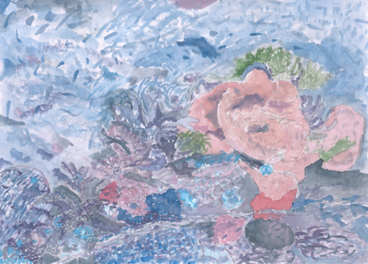 きれいな海とサンゴ礁