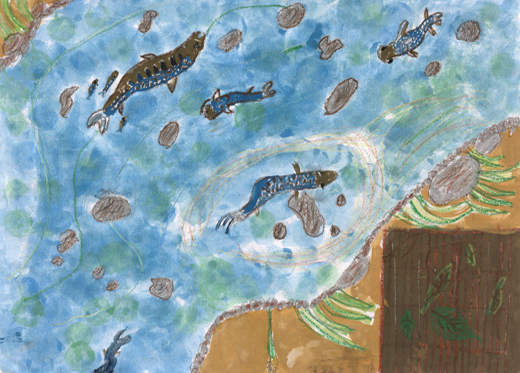 上高地のイワナ