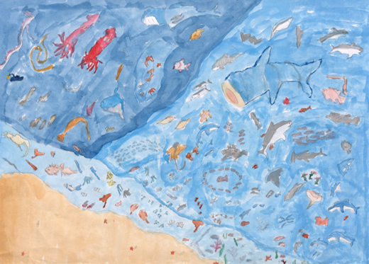 海の仲間達