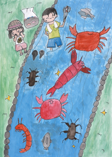 きれいな水作り