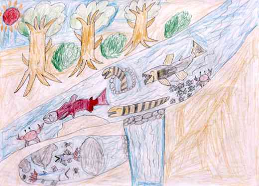 生物たちが元気にくらす様子