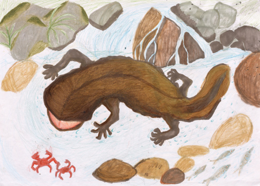 天然記念物のくらし