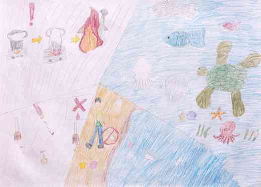 いろいろなマナーと海の生き物たち