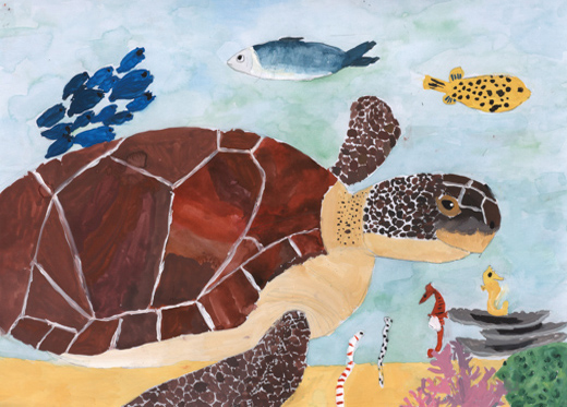 ウミガメのおよぐ海