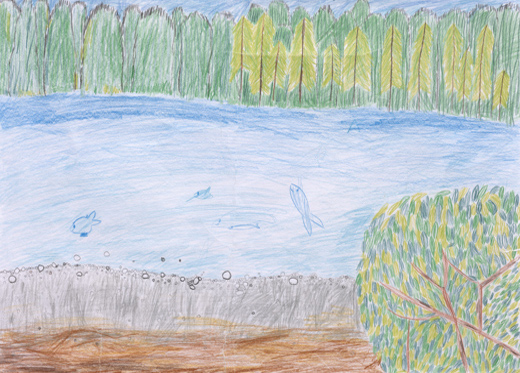 魚がおよいでいるところ